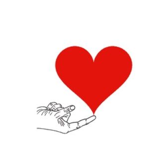 Meet your Posher, Hiba